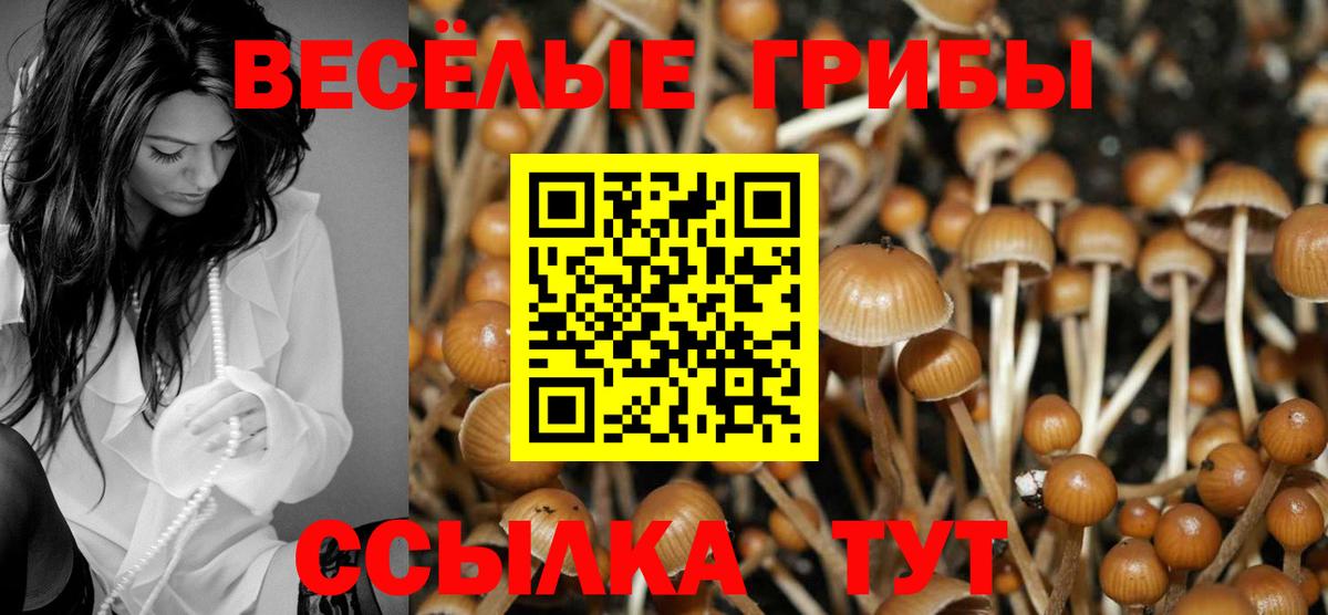 Галлюциногенные грибы мухоморы  Галлюциногенные грибы Magic Shrooms  Вход с VPN  Черняховск 