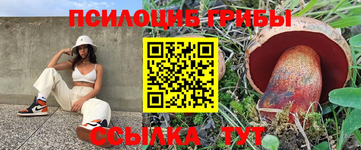 Псилоцибиновые грибы GOLDEN TEACHER Черняховск